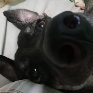 Foto de Alex